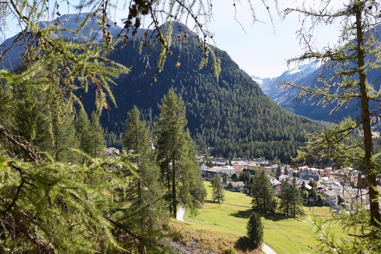 Alpine Lodge Chesa Plattner Pontresina Exterior foto